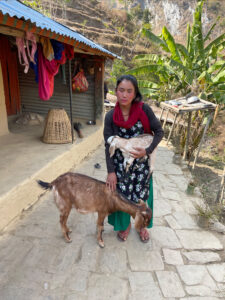 A Nepali woman in traditional attire holds a white goat in her arms with a brown goat nearby, in a village setting.